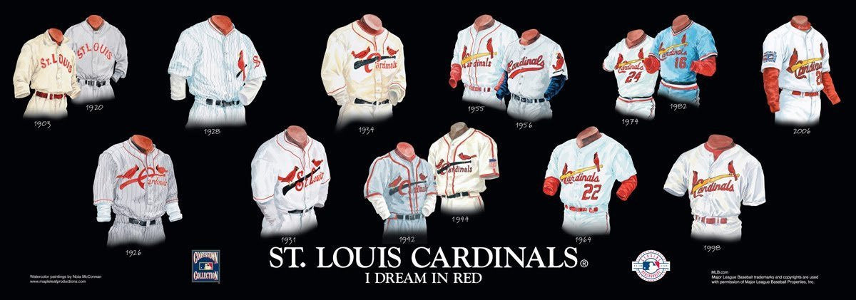 1963 St Louis Cardinals Baseball Team 8x10 Print (J24993) - Mary L
