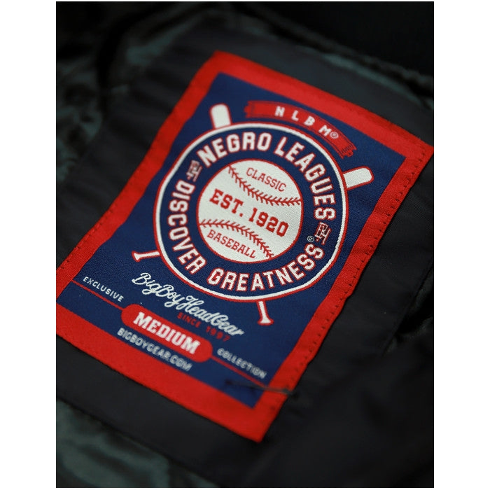 Discover Greatness: Negro Leagues Baseball Commemorative Embroidered Bomber Jacket (Detail 6)