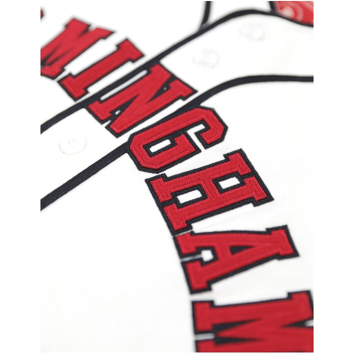 Willie Mays: Birmingham Black Barons Heritage Baseball Jersey (Front Detail)