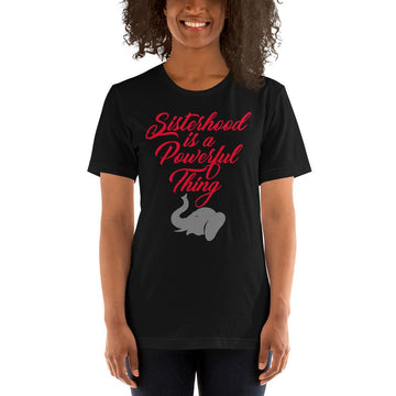 Sisterhood is a Powerful Thing (Delta Sigma Theta) Short Sleeve T-Shirt