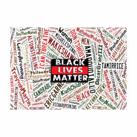 Black Lives Matter: African American History Magnet by Shades of Color