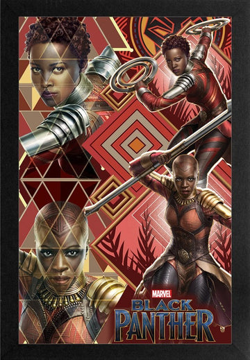 Okoye and Nakia: Bodygurads of The Black Panther by Marvel Comcs